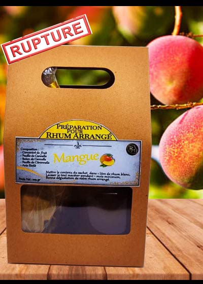 Préparation Rhum Arrangé Mangue